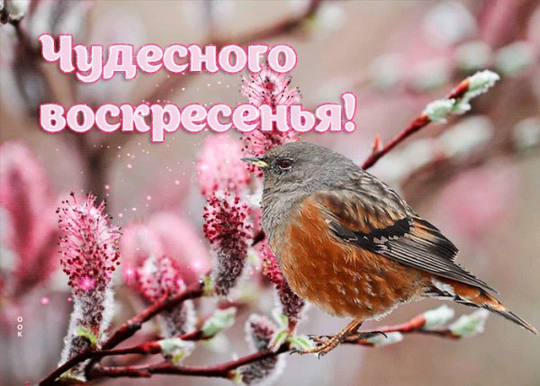 file_102549624
