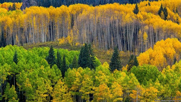 file_53669513