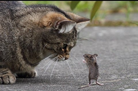 ge 93e4a45545ea5f29a728a603e036d8a12f5f6