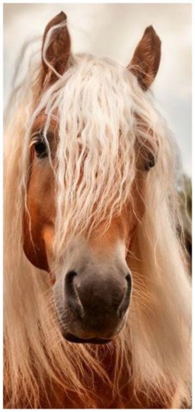 b525d7f399070b95b82e1ec6604a