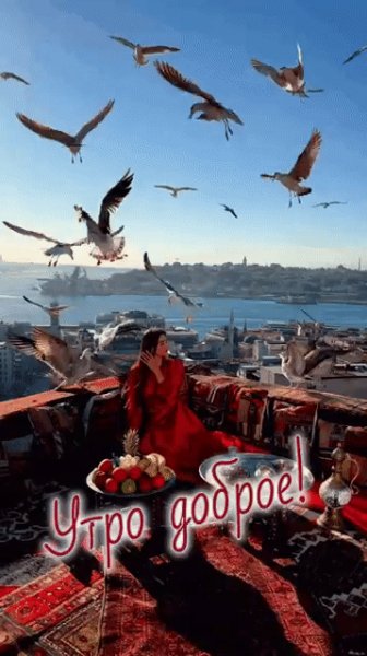 GIF-abcbaf2ce7769ad61b80cb2e338a959f