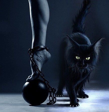 IMG 20150323 234924 41