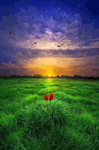 file_51547807