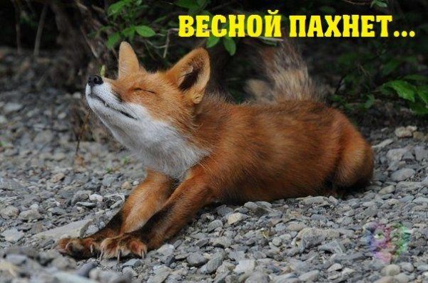 r3JG3cCKWBRw4HYlv yrw. 000