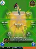 professional cricket 2014