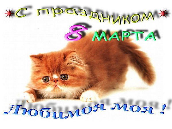 image (84)