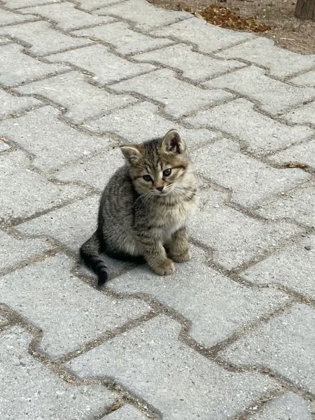 FB IMG 1774551186989