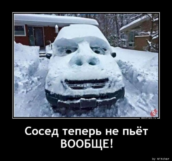 Сосед теперь не пьёт вообще