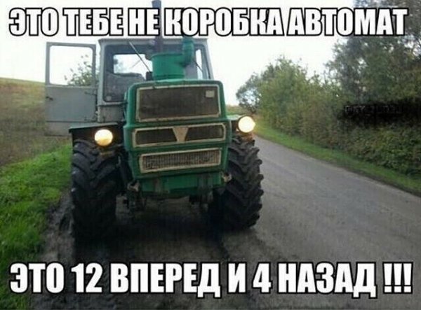 file_89329881