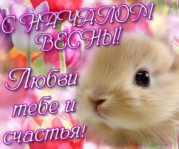 З началом весни