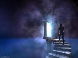 В.Зеланд практический курс ТРАНССЁРФИНГА