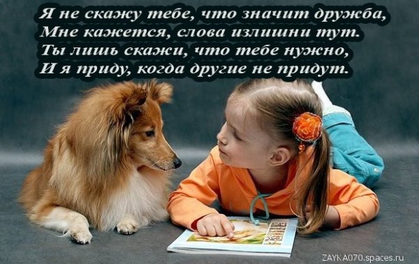 я не скажу,что значит дружба