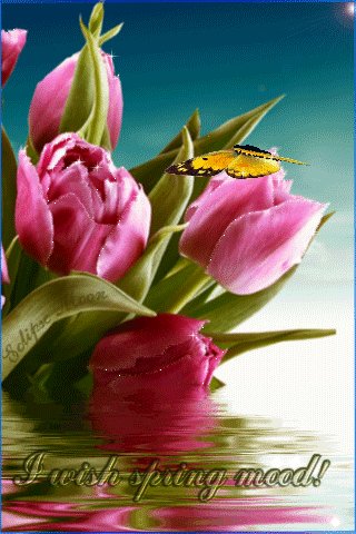 springtime