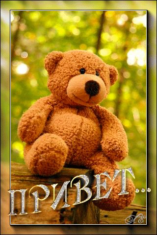 приветик 000422