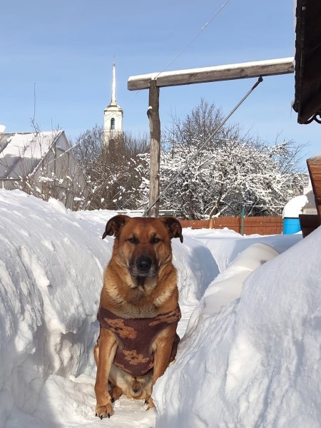 VEDCGUHNKKGFVB36DP52RA