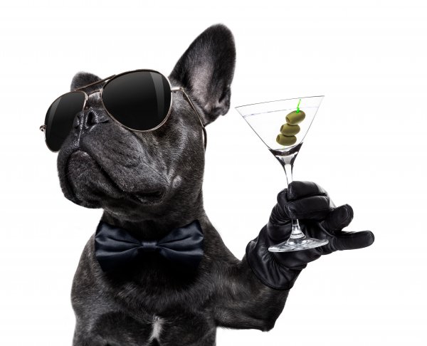 Shutterstock 1420443530
