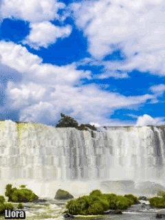 file_58491605