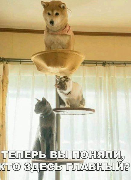 FB IMG 1776447212674