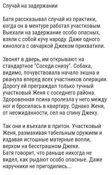 верхом на псине ;)))