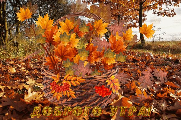 доброго утра 000852