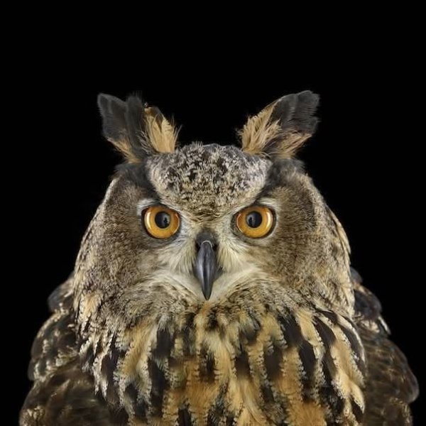 FB IMG 1756276003852