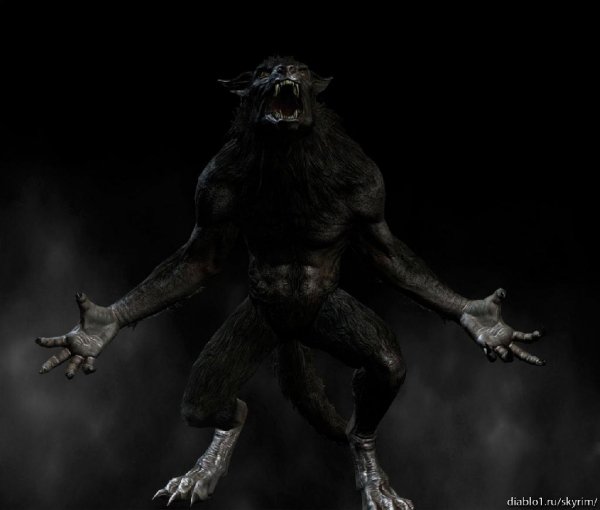 Werewolf Follow