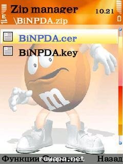 BiNPDA