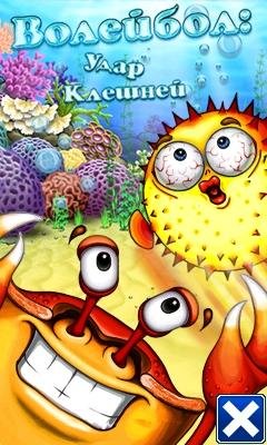 Beach Ball Crab Mayhem