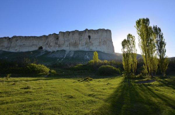 krym-belaia-skala-derevia-gora