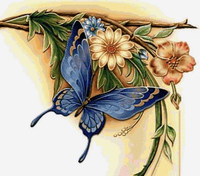 c5b7b45df5573d254250a9adefc66