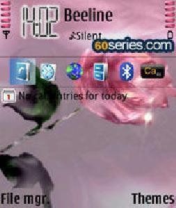 rosa-