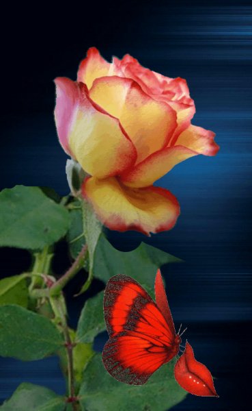 ZK roze Бабочка Губы
