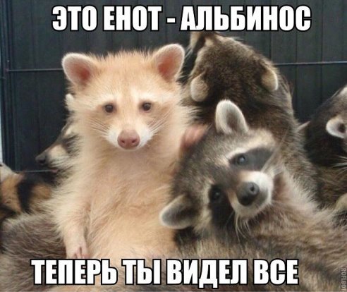 гг