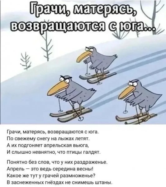 FB IMG 1777392976377