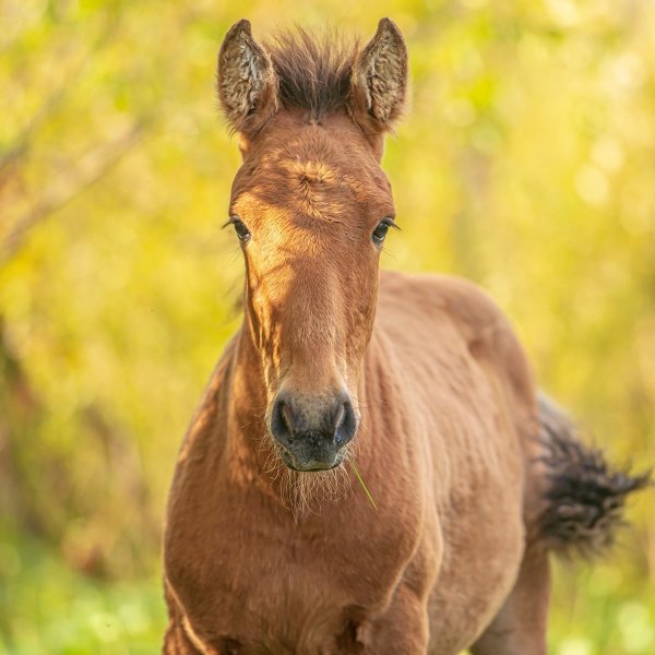 XTDCYGBJFFVHSCHGDR5Q