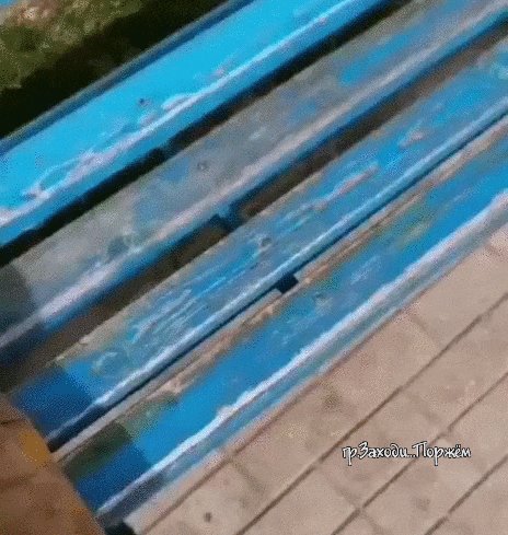 Решил покормить собачку фастфудом, но что-то пошло не так...