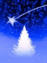 siza ru newyaer113 176x220