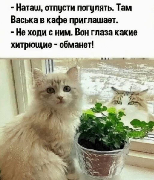 IMG 20260416 104716