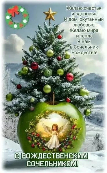 IMG 20260108 011733