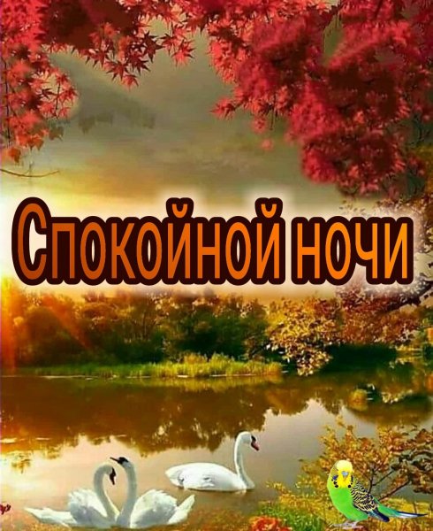 Спокойной ночи