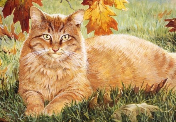 Кот и осенние листья (7)