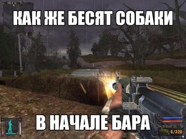 Как же бесят собаки