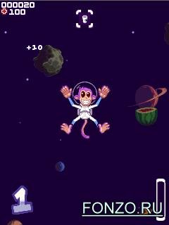 Space Monkey