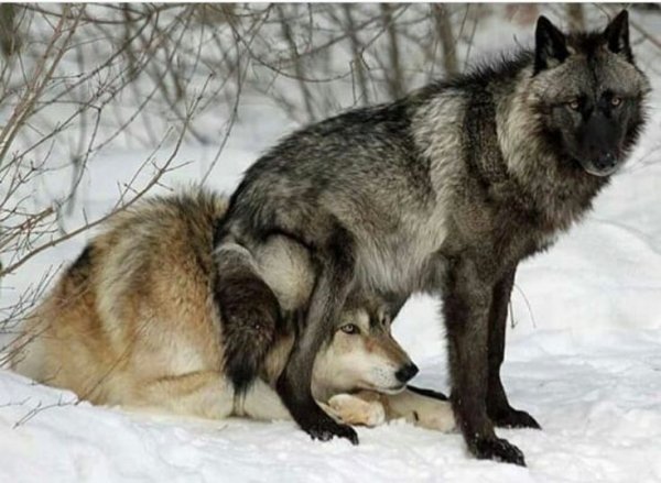 C7a7c35b383b8c5303e08e2c98a3faba