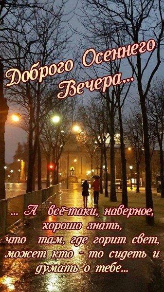 file_95156324