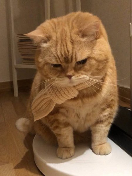 FB IMG 1771321127239