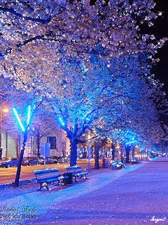 file_71304072