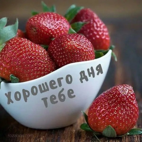 ZdudvujCuzY