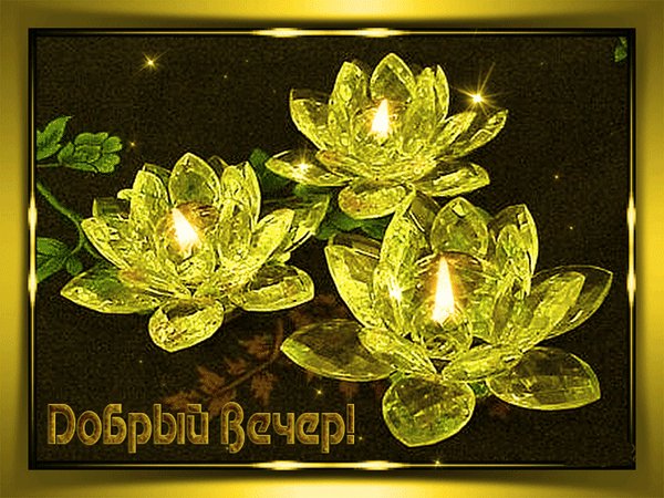 добрый вечер 084060