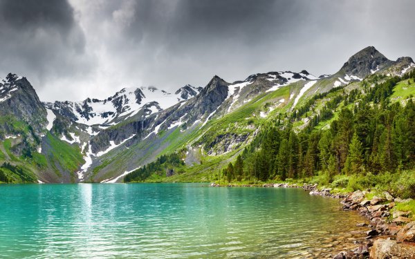 Wallpapers 571